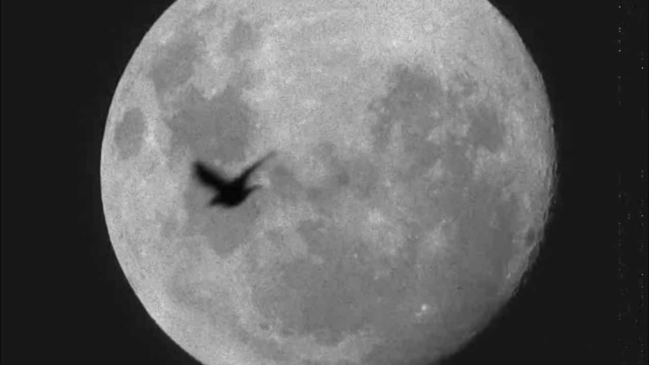 La Procesión De Lo Infinito - Naturaleza Muerta