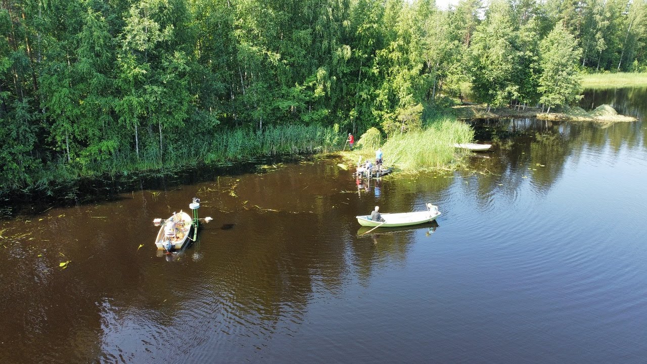 Kaislan niittoa Yhelmysjärvellä, 2022