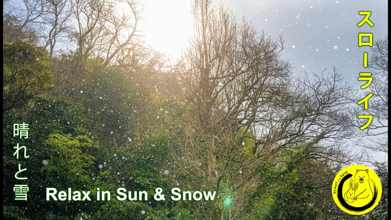 雪が降る中、太陽の下で昼寝をする | スローライフ Taking a Nap in the Sun While Snowing (Japan) | Slow Life