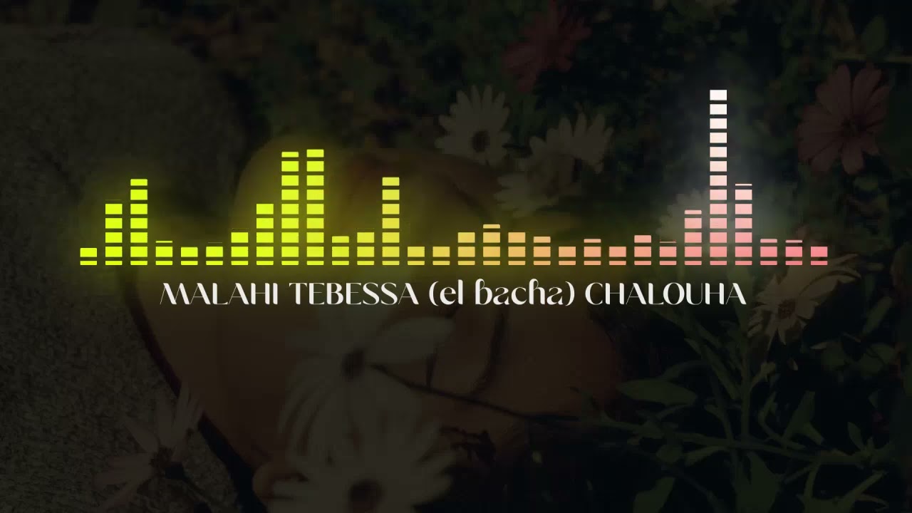 malahi tebessa ( el bacha ) chalouha أغاني ملاهي تبسة -الباشا-  شالوها