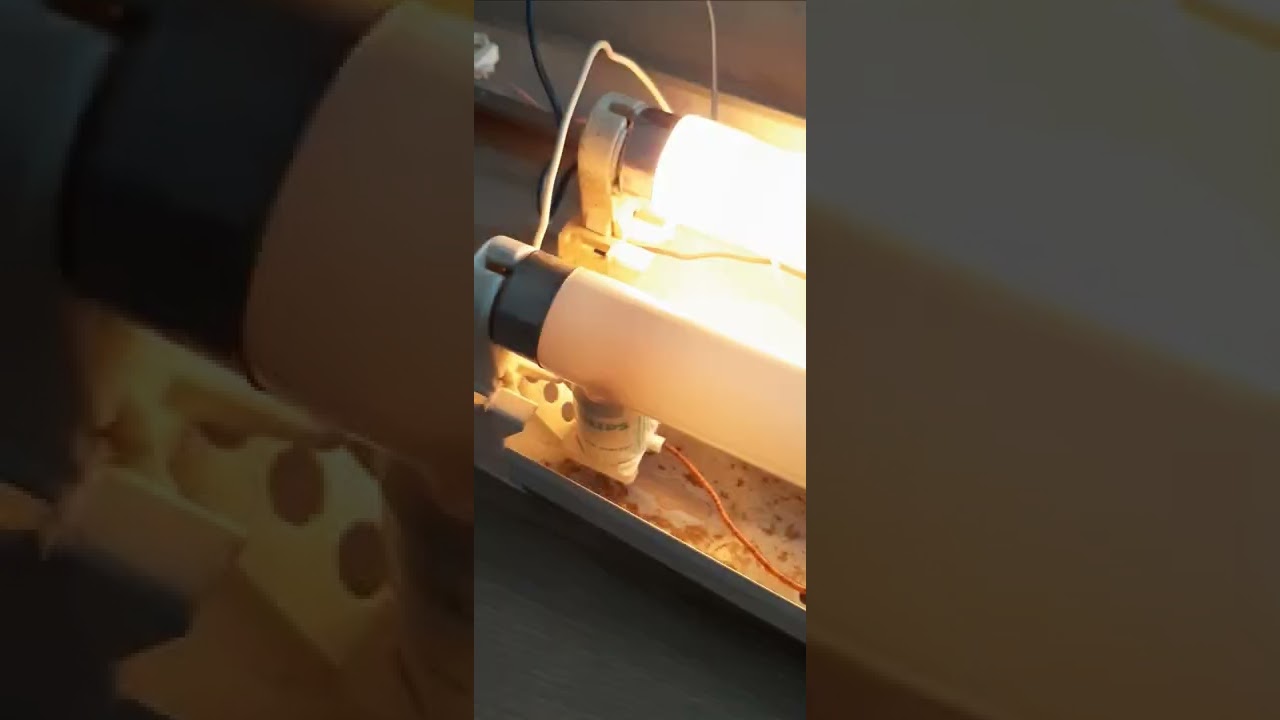 Some burning electrodes on broken fluorescent tubes