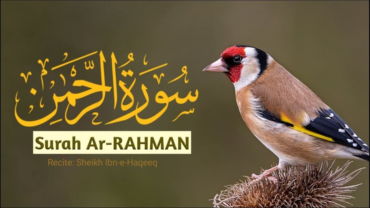 Surah Rahman (سورة الرحمن) Full | Most Beautiful & Heart Touching Quran Recitation | Peace & Healing
