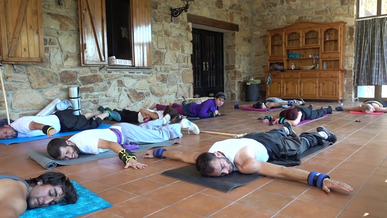 FUERZA EN ESPALDA Y PUÑOS EN CASA