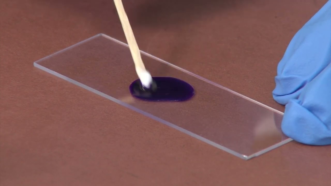 Yogurt preparation