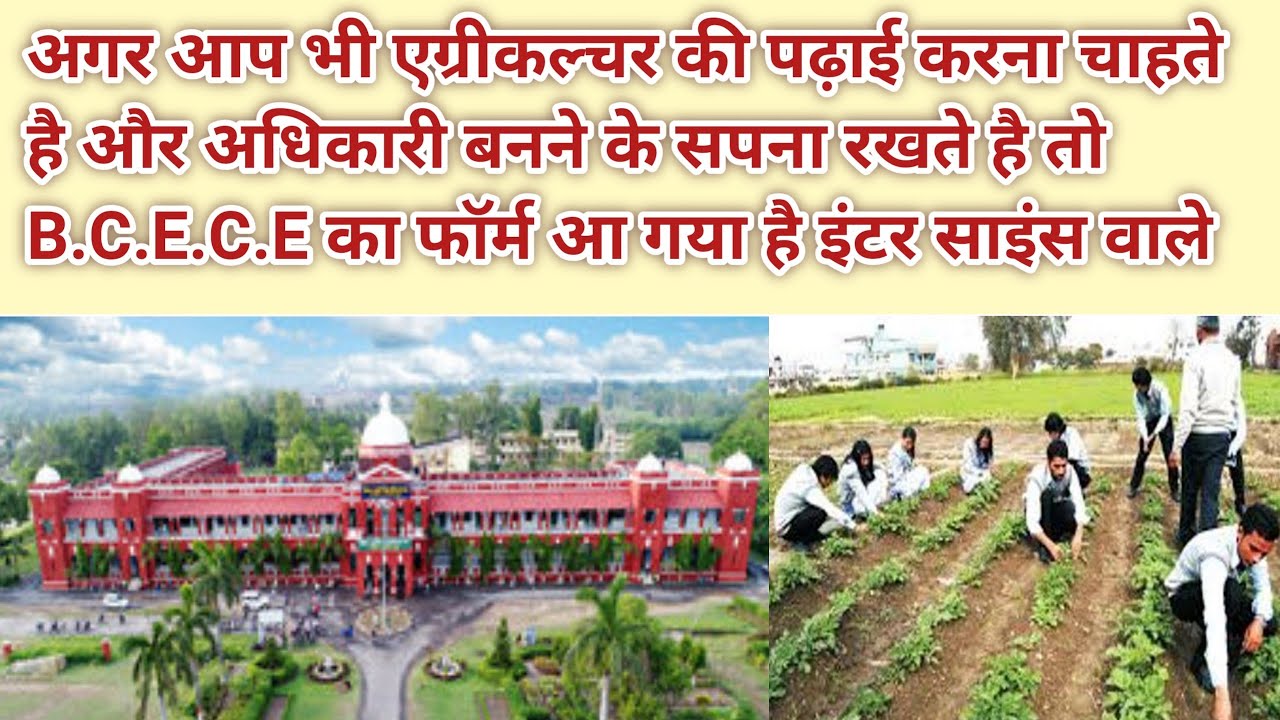 BCECEB Agriculture Form Apply Online || BCECEB form last date #mix_farming
