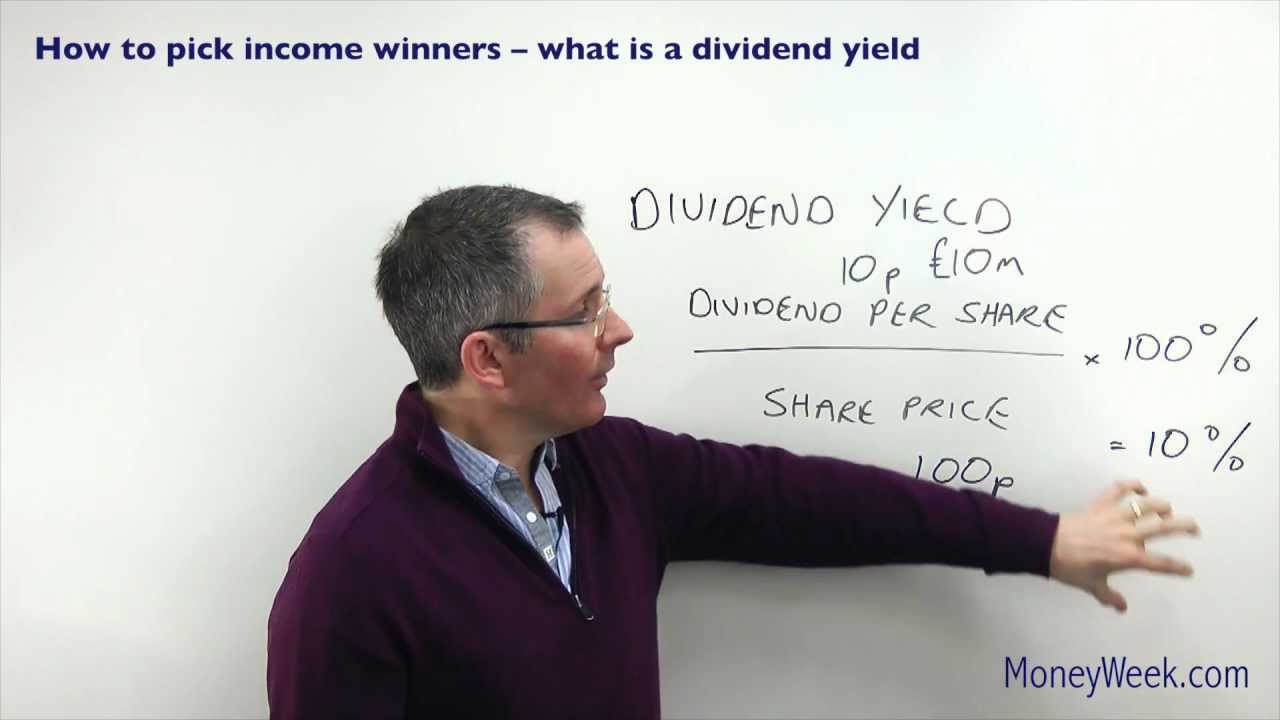How to pick income winners - What is a dividend yield? - MoneyWeek Investment Tutorials