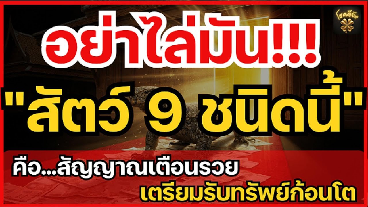 ห้ามไล่เด็ดขาด! 9 สัตว์เข้าบ้านพาโชค สัญญาณเตือนรวย วิธีตีเลขเด็ดรับทรัพย์ก้อนโต | โชคดีจัง