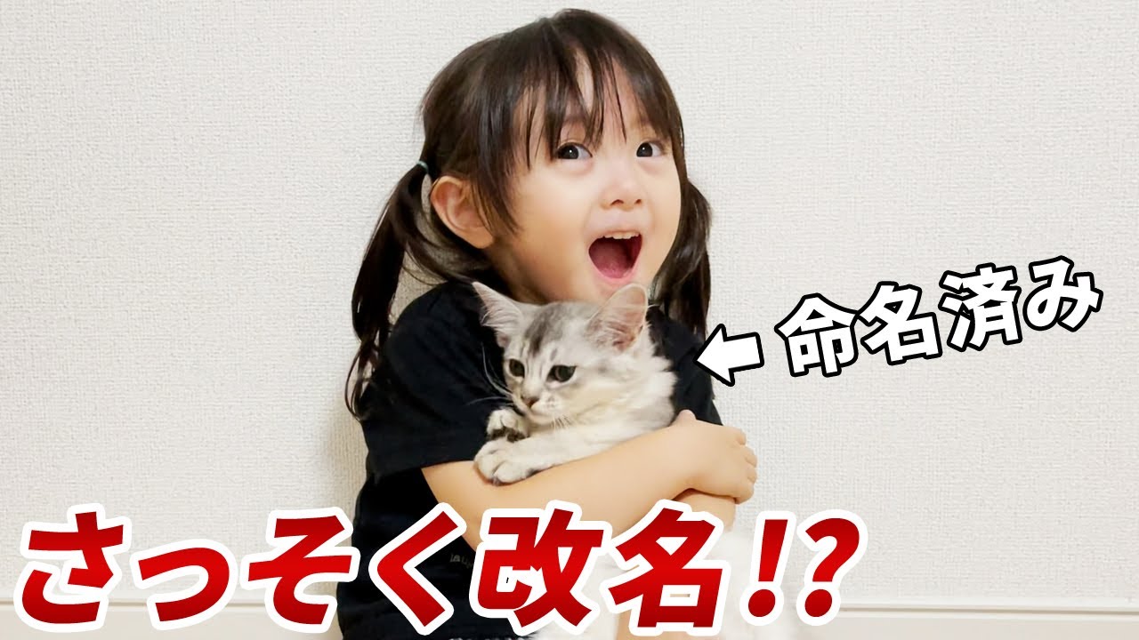 子猫を可愛がるあまりつい新たな名を与えてしまう3歳娘