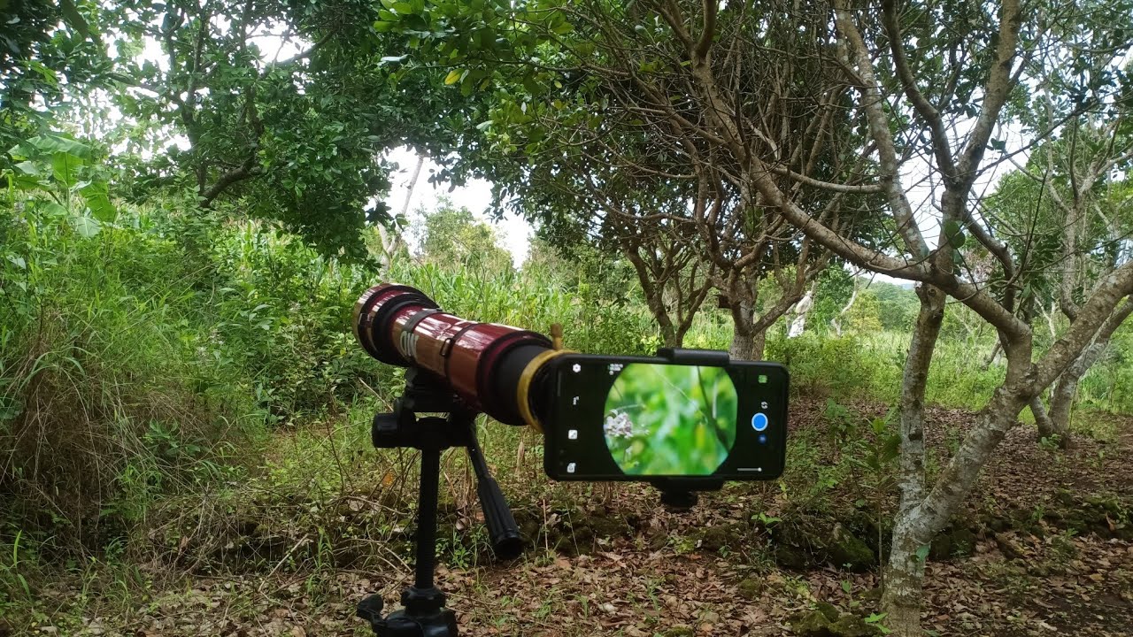 DIY OKULER EX APEXEL PASANG KE TELECOPY