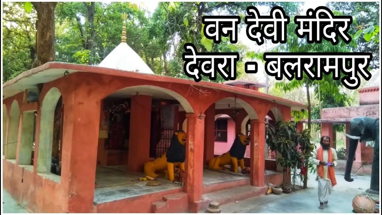देवरा समयमाता मंदिर | वनदेवी मंदिर | जंगल बलरामपुर
