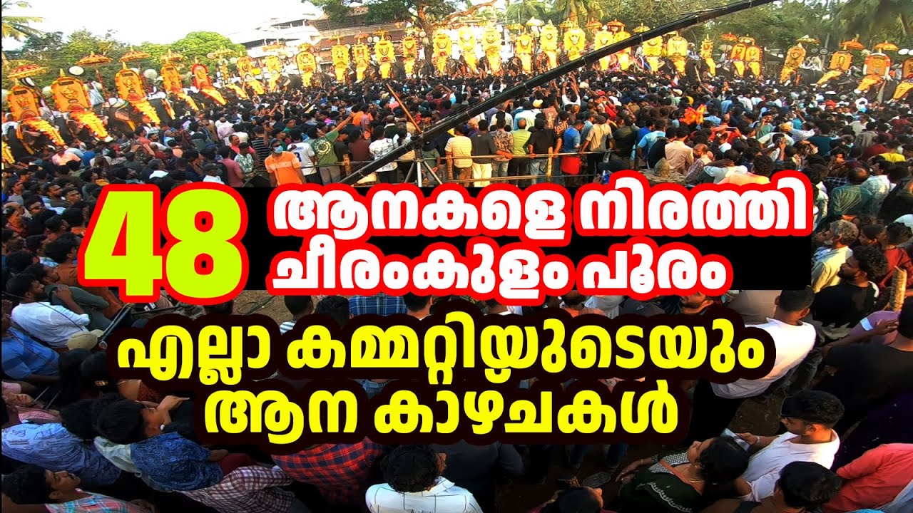 48 ആനകളെ നിരത്തി ചീരംകുളം പൂരം | എല്ലാ കമ്മറ്റിയുടെയും ആന കാഴ്ചകൾ | Cheeramkulam Pooram #pooram