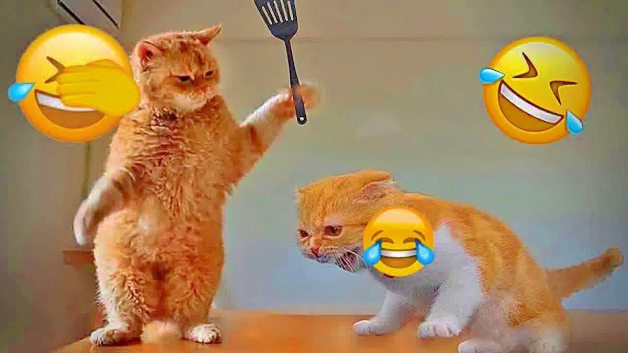You Laugh You Lose 🧡 Funniest Cats and Dogs 2026🐩