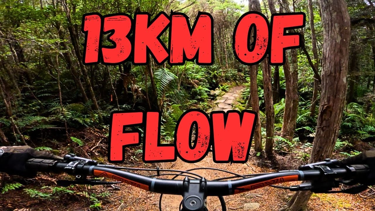 Top 13 MTB Trail Derby Tasmania