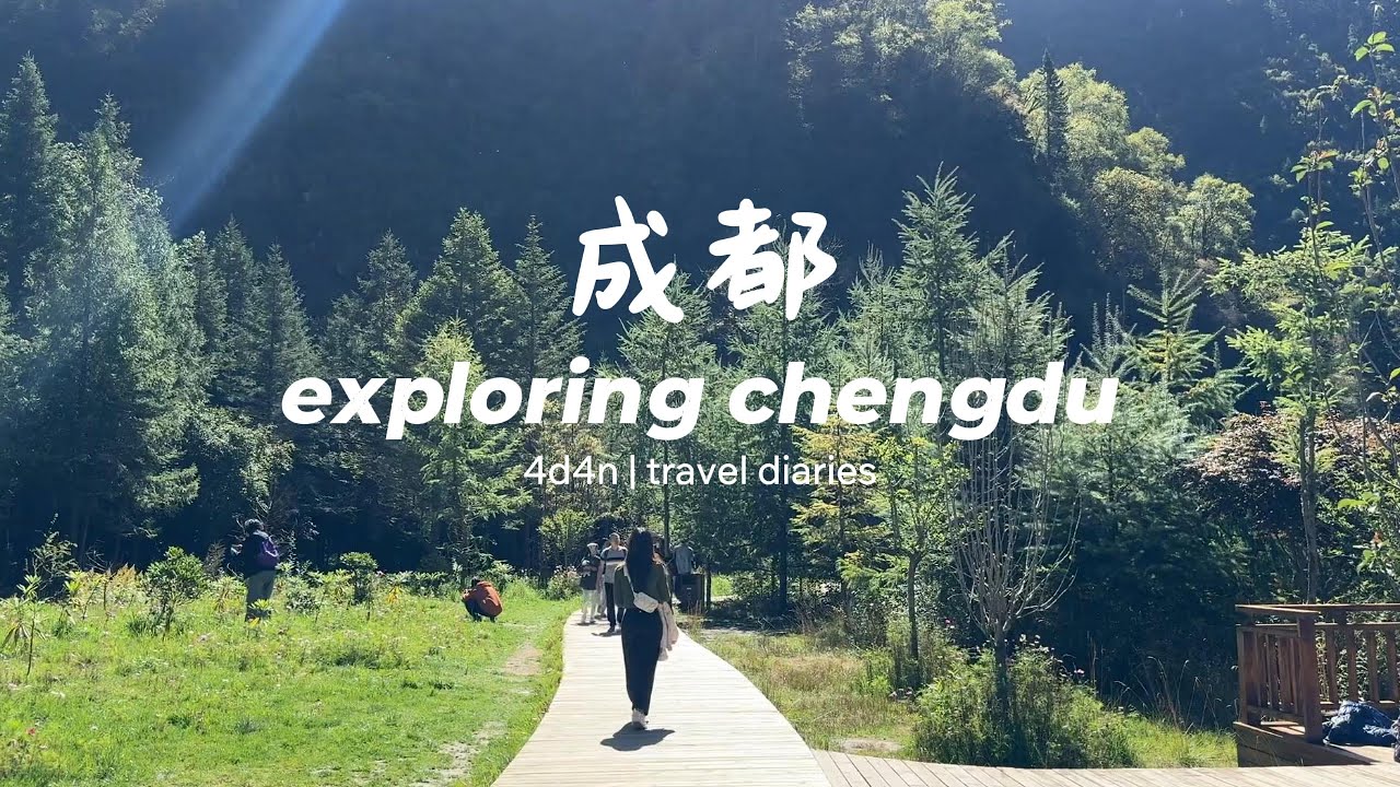 4d4n in chengdu vlog | visit panda research base, qing cheng shan, du jiang yan, bi peng gou!