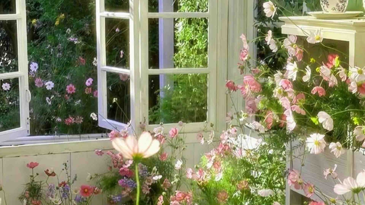 a quiet playlist for a slow life ☘️ (spring version)
