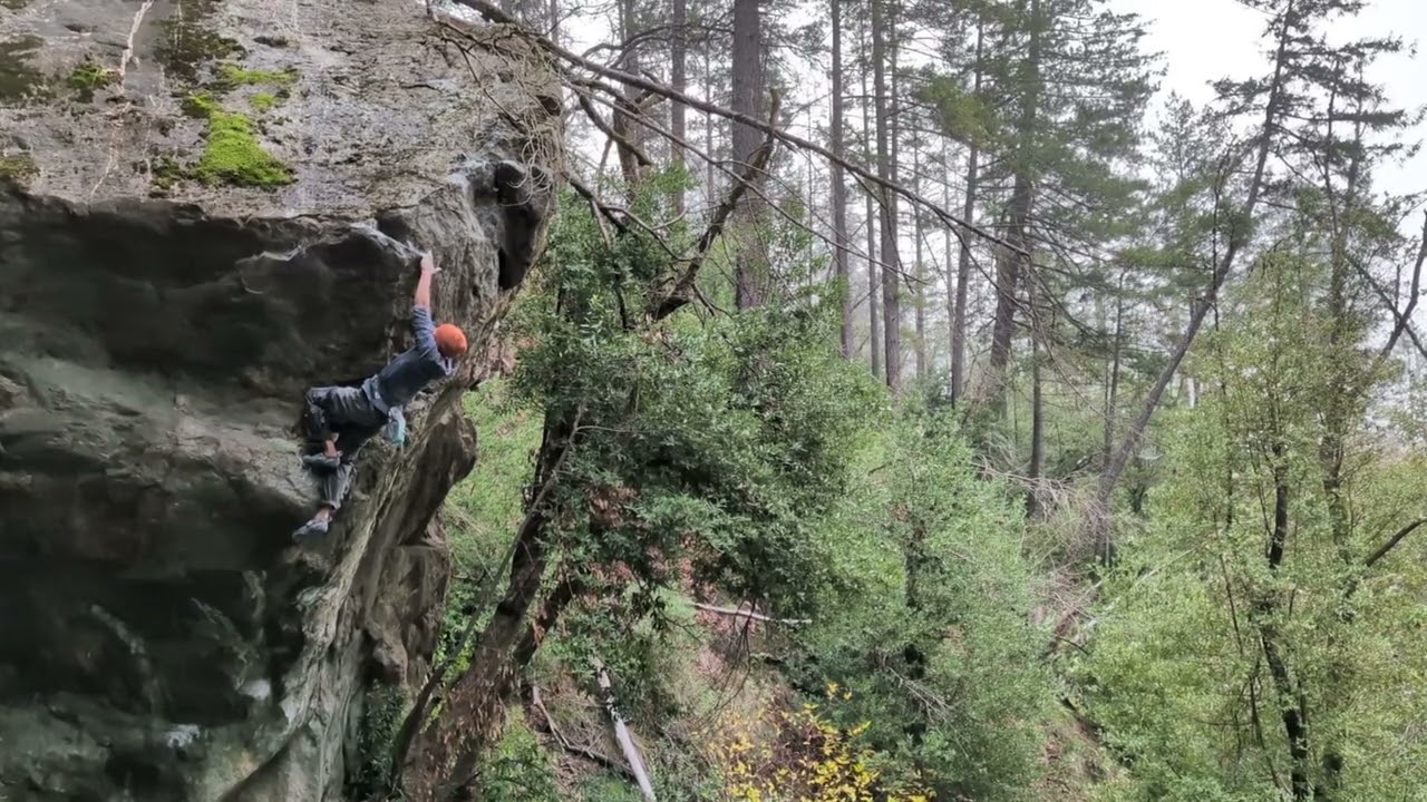 Bear Creek Menace