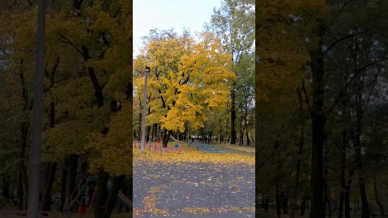 Осінь. Ставищенський парк