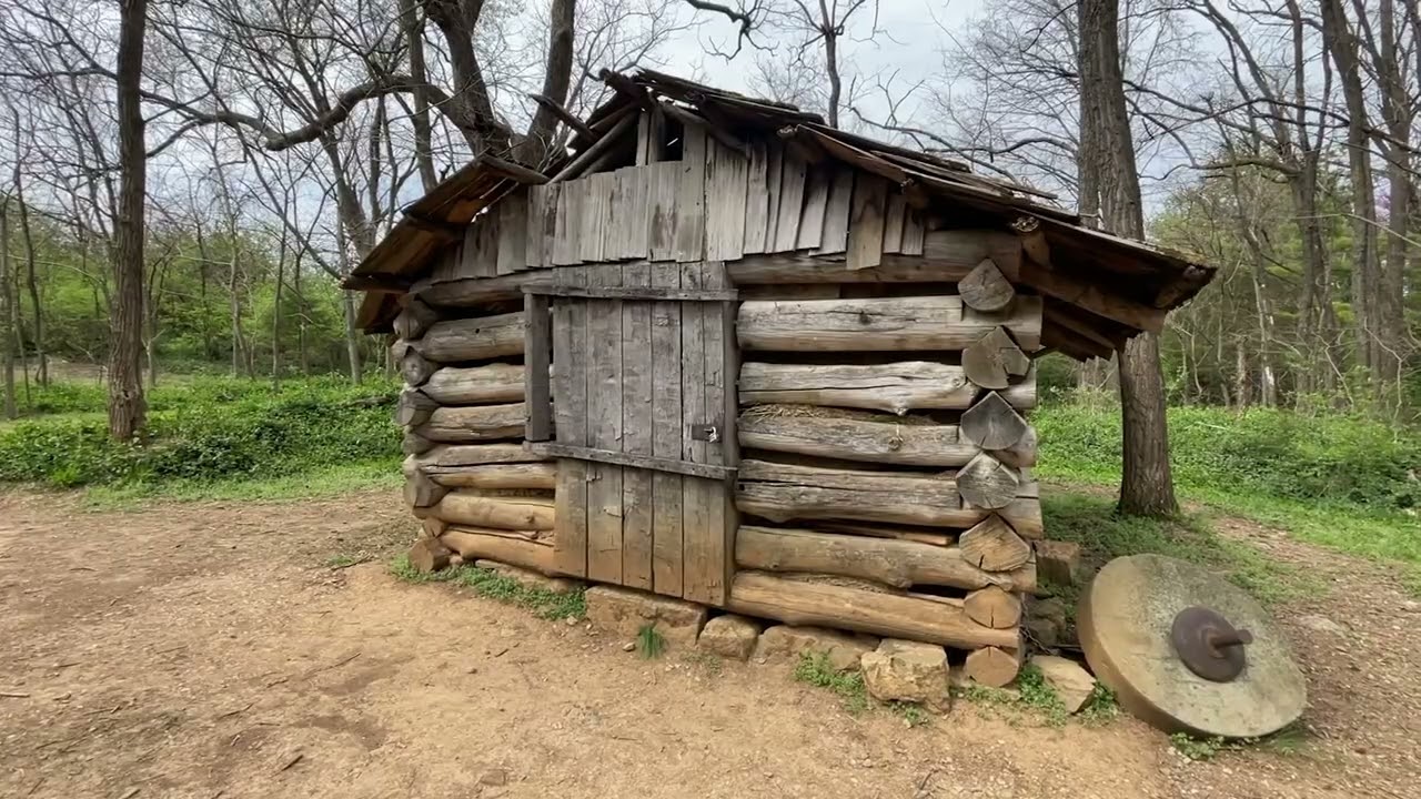 Earth Month 2025 at McConnell Springs