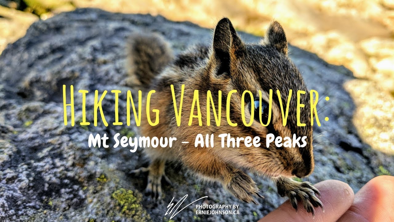 BC Adventures... Hiking Mt Seymour
