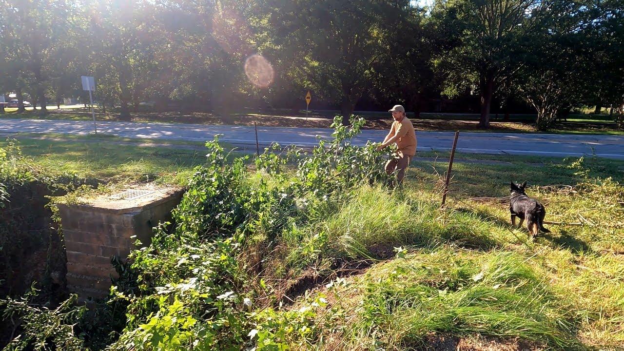 Sinkhole Clean Up Continues With Chuck Norris and more | Waverly Hall Georgia