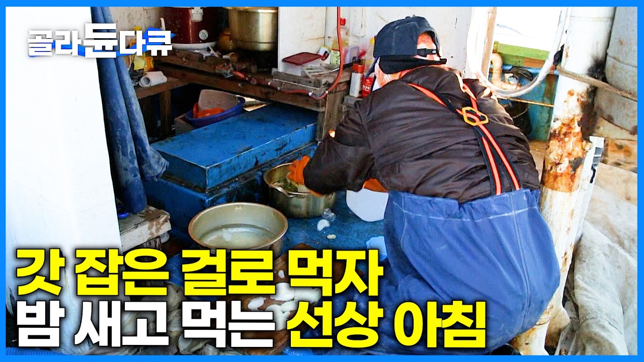 잡아본 놈이 더 잘 먹는다! 갓 잡은 대게 선상에서 바로 먹는 베테랑 묵호항 어부ㅣ겨울 묵호항ㅣ한국기행│#골라듄다큐