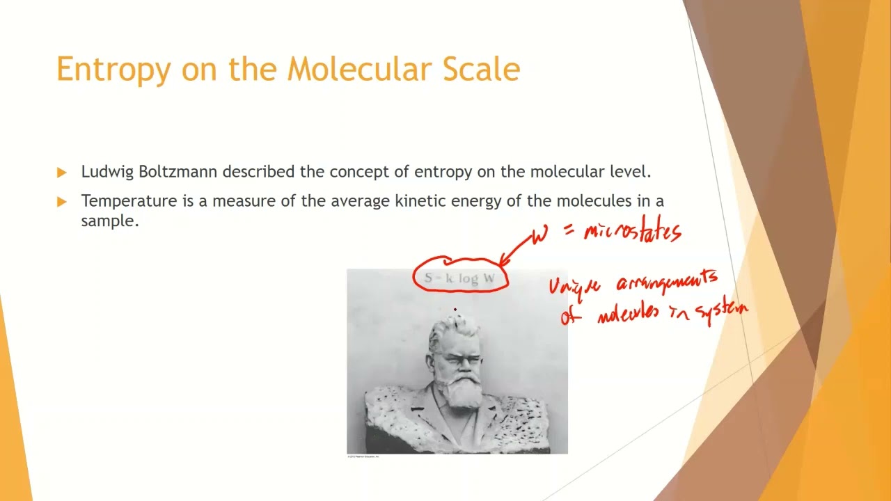 Reaction Spontaneity prelab