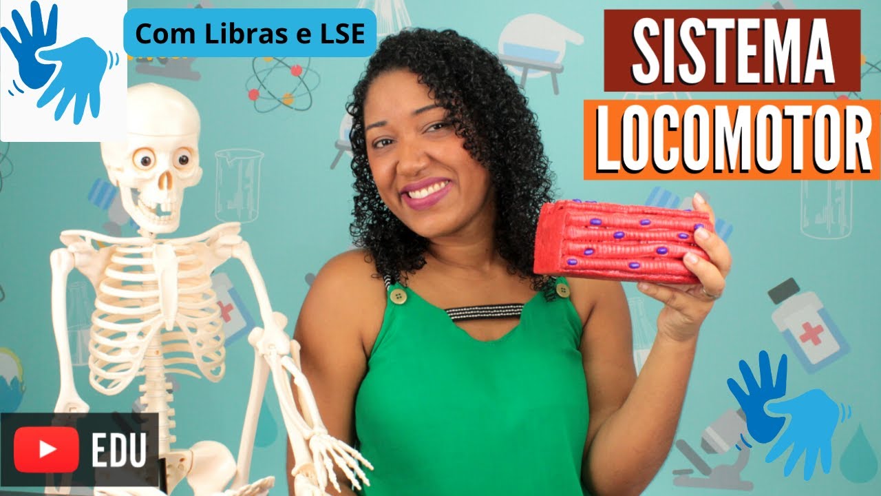 [Libras e LSE]Aula Sistema Locomotor