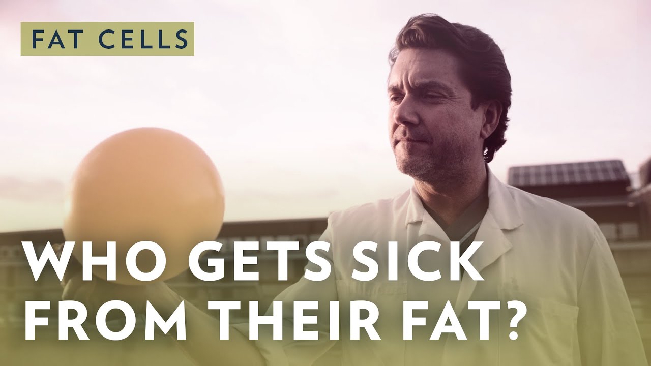 Who is getting sick from their fat cells?