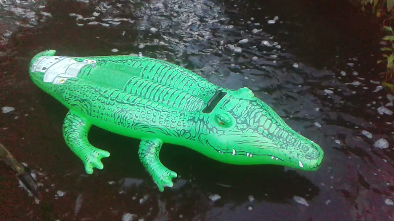 INTEX 58546 - 168CM Inflatable Green Beach Crocodile Floating on the River  - 24.08.2017