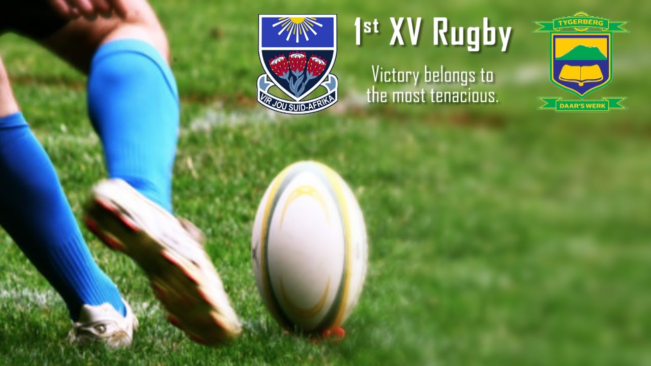 1st XV Rugby: DF Malan vs Tygerberg