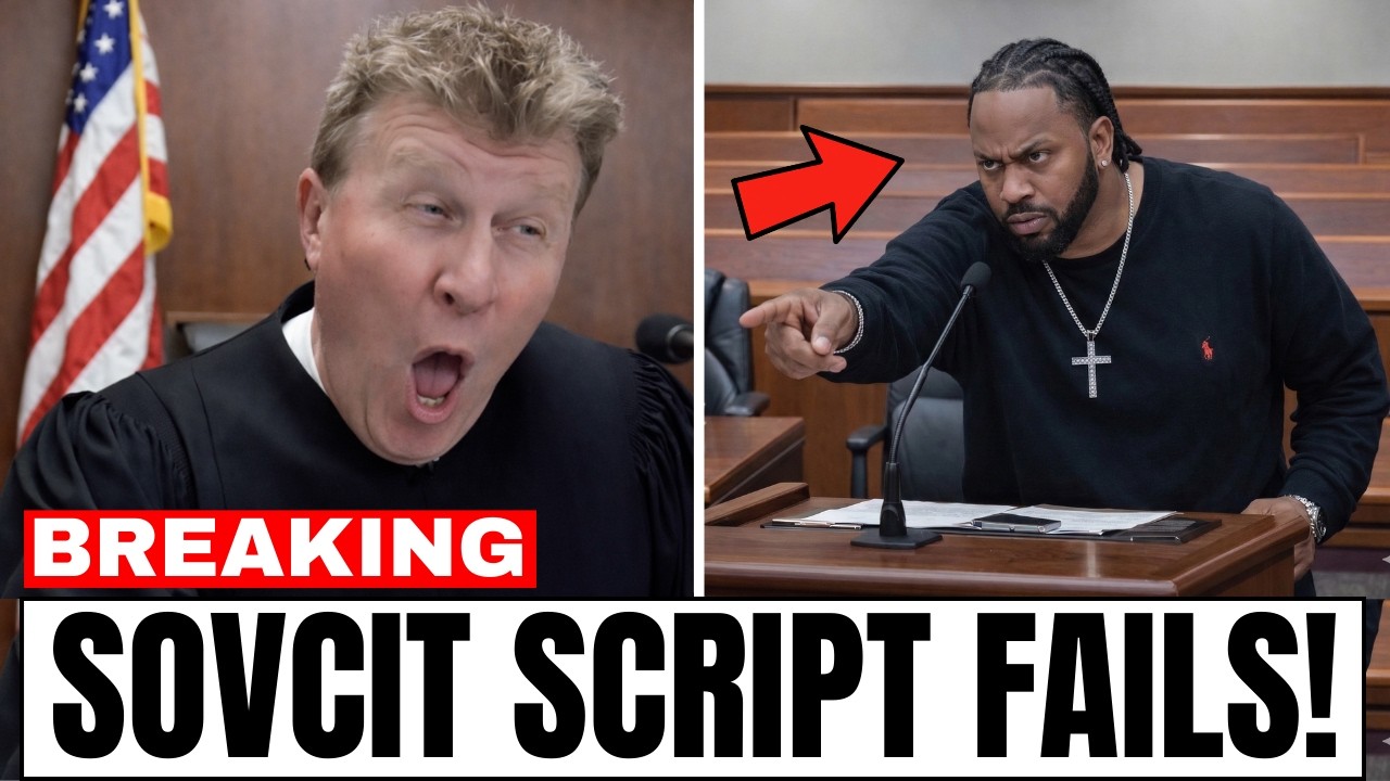 Judge McNally DESTROYS Sovereign Citizen Script at Arraignment Courtroom Excuse Instantly Shut Down