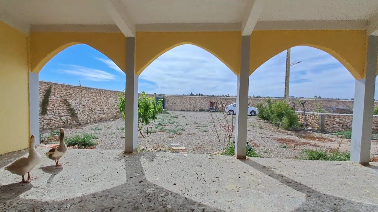 🏠3200 م محفظة بالمنزل و2 آبار 27 كلم على الجديدة و60 م فقط على الكودرون