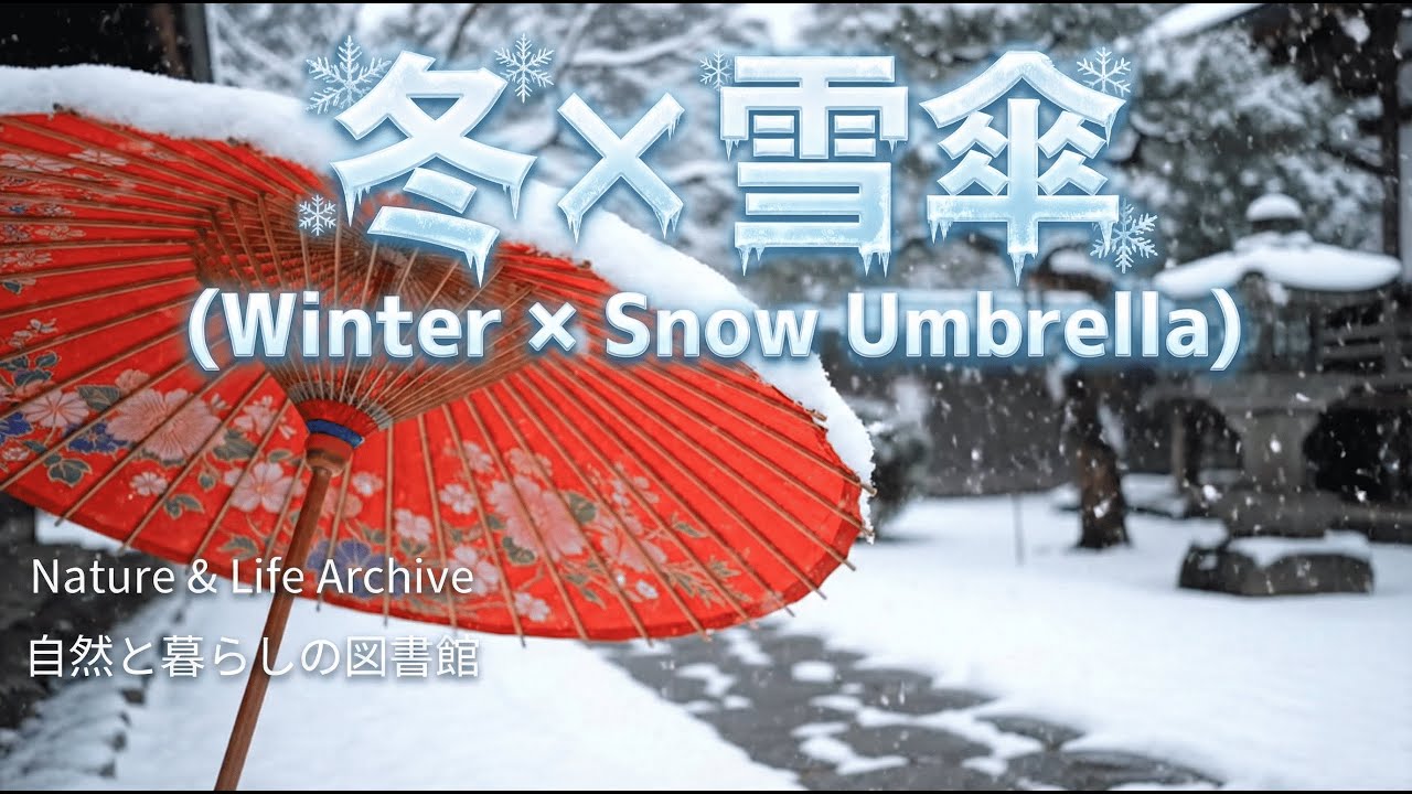 【睡眠用・作業用】傘に降り積もる雪の音 1時間（Snow Falling on Japanese Umbrella for Sleep）