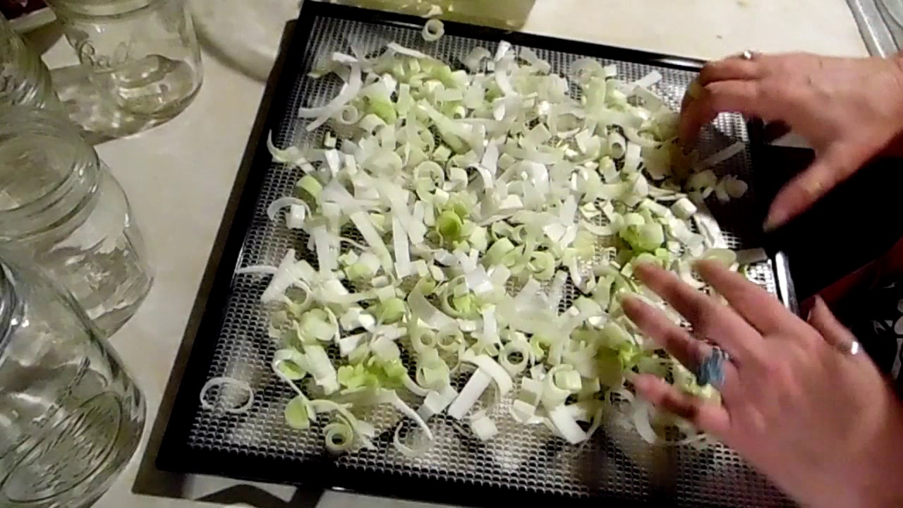 How to Dehydrate Leeks Dehydrating Leeks