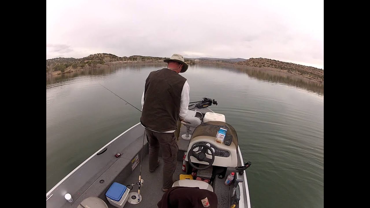 Starvation Reservoir Brown Trout