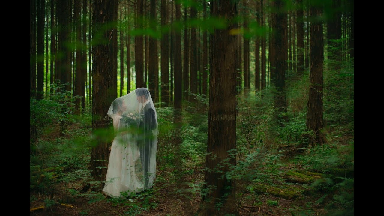 【写し影】夏｜山梨【オープニングムービー】