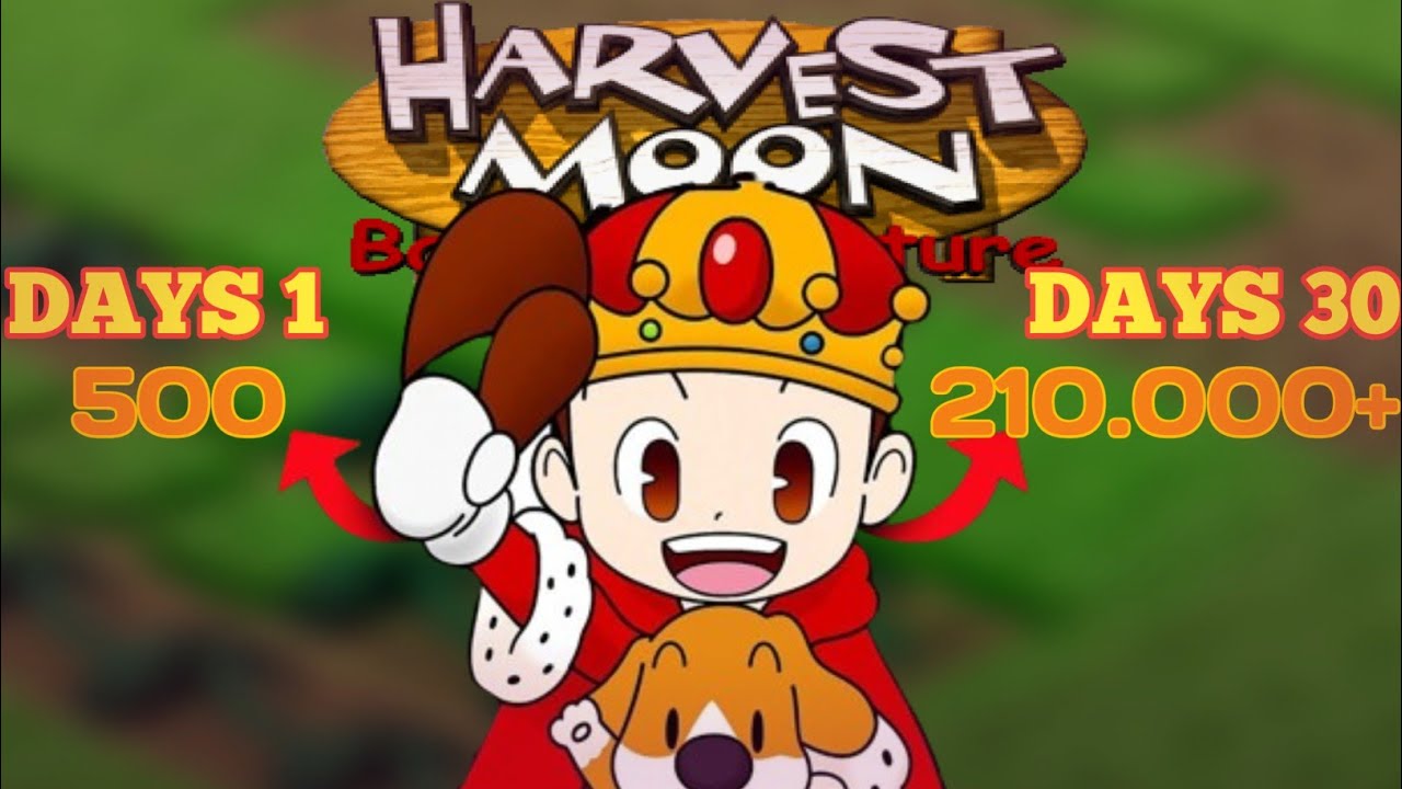 210000 GOLD dalam 30 HARI‼️ Harvest Moon BTN