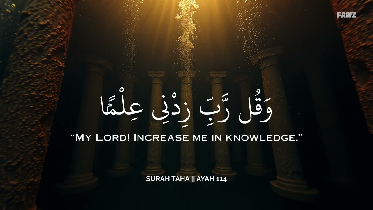 ساعة من السكينة مع القرآن💛😌 | تلاوة هادئة للنوم والاسترخاء🕊️🎧 | Deep Tranquility