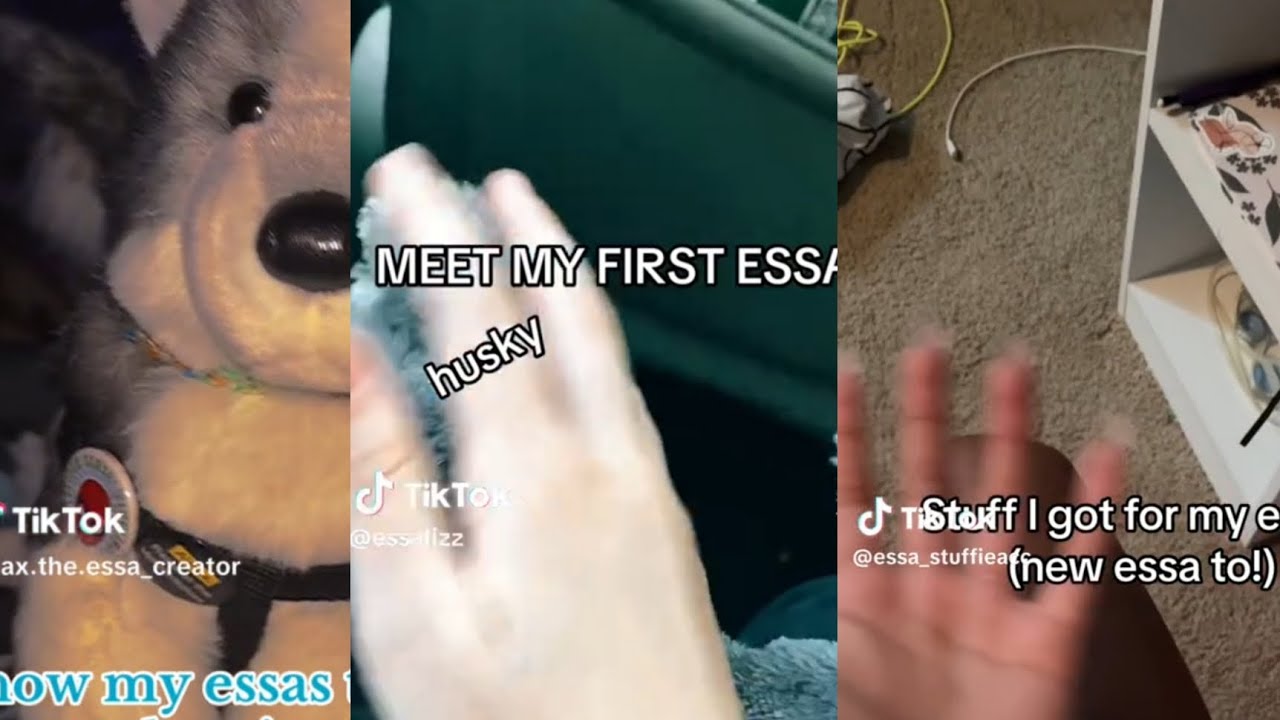 Husky Only Essa/cs complimation||non of these are mine creds to owners||17 subs special❤️