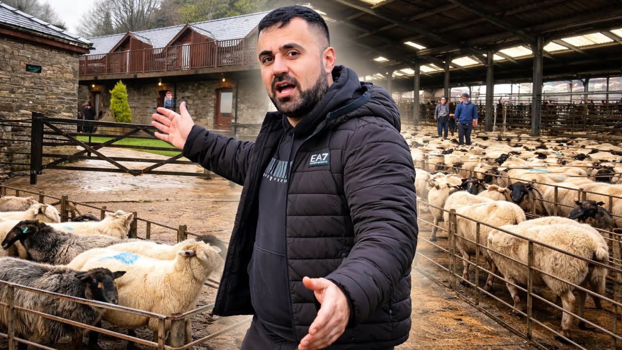 شەوێک مانەوە لە نێوان  سنوری فەرەنساو بەریتانیا 