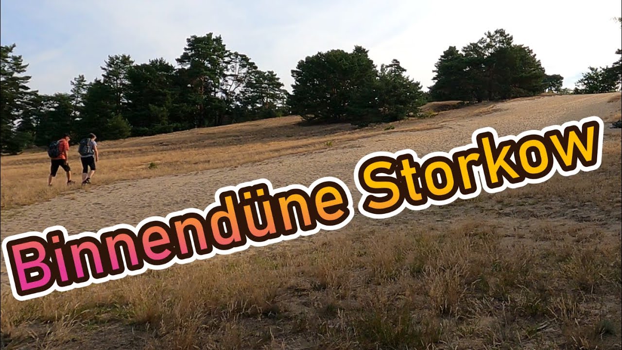 Binnendüne Waltersberge und Storkower See - Wanderung vom 18.08.2024