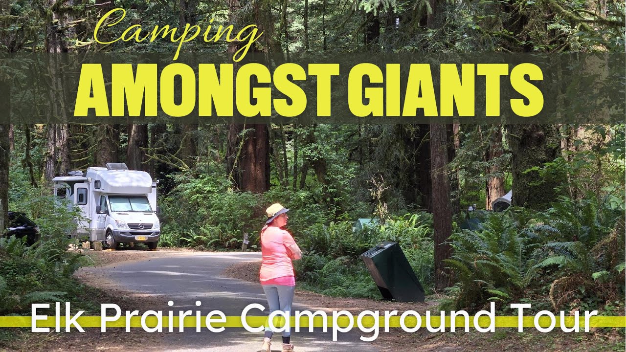 Elk Prairie Campground Tour, Prairie Creek California Redwoods State and National Parks
