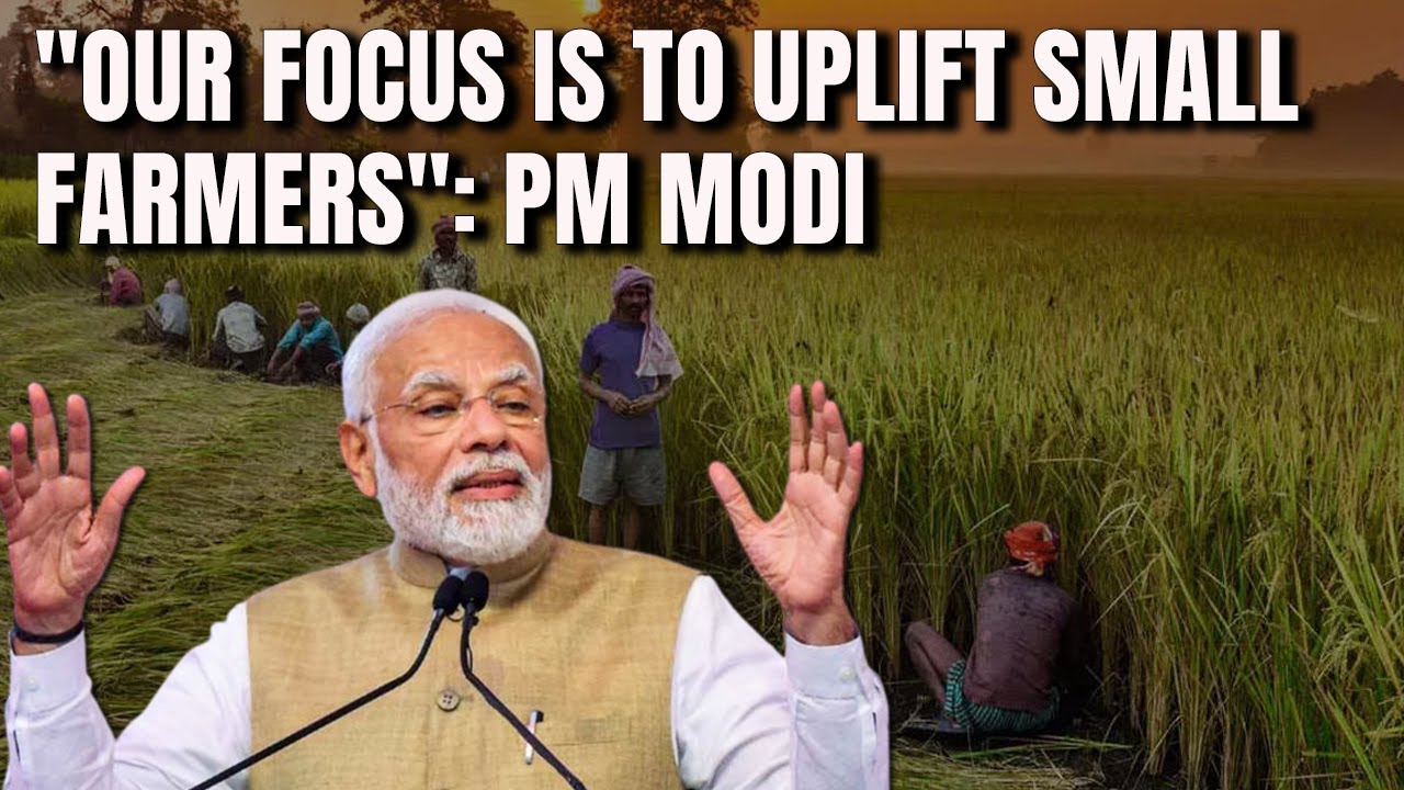 PM Modi On Farmers' Welfare | PM Highlights Steps: 