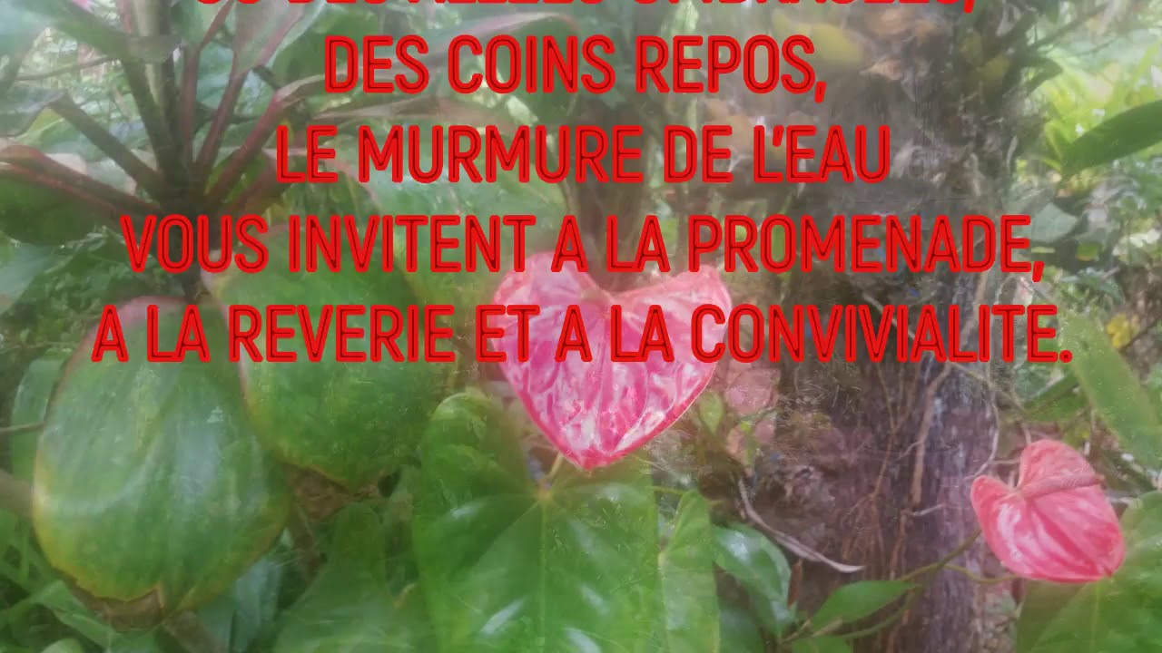 17)  HELL BOURG JARDIN CREOLE FLEURI  FOLIO EP. 17