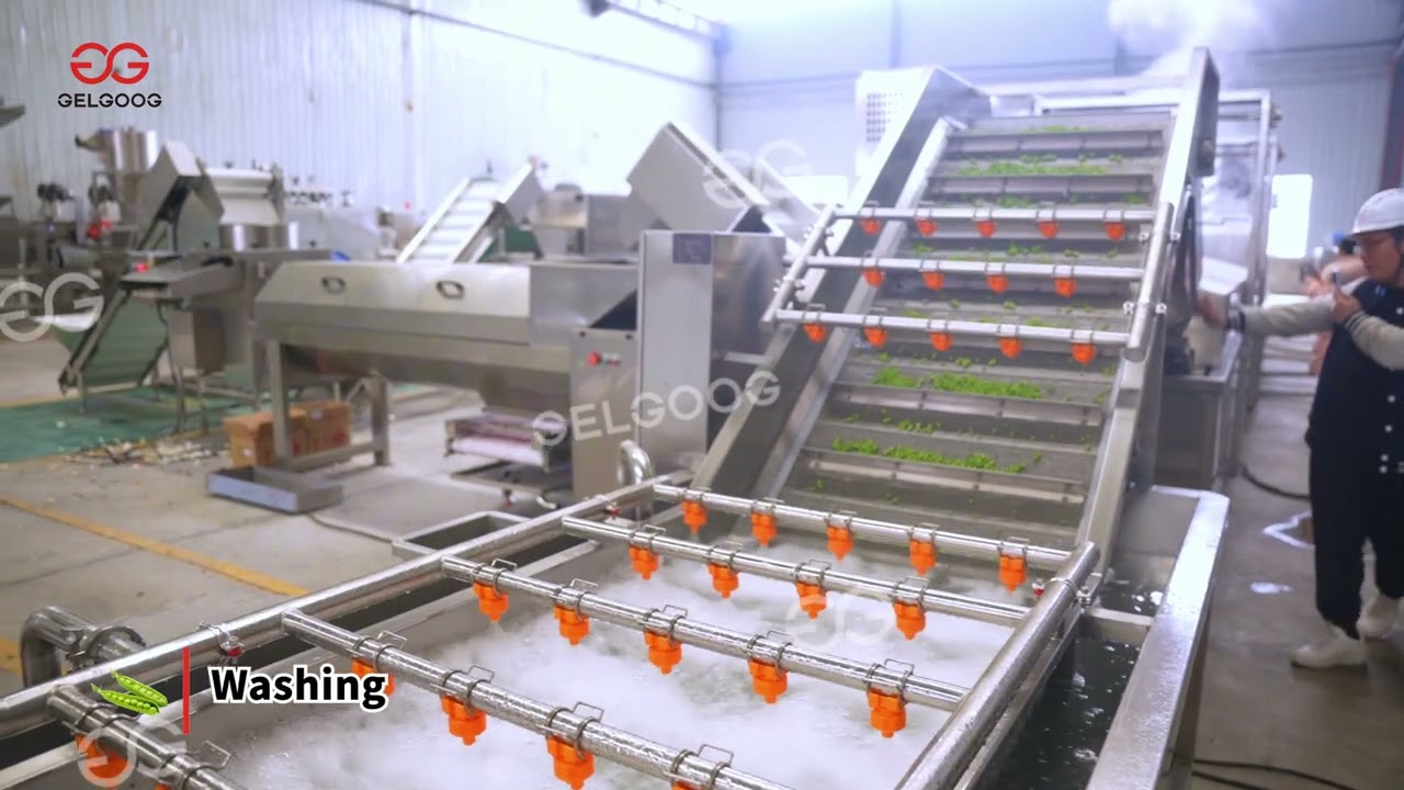 Green Peas Processing Line – Perfect for Frozen Food Exporters & Large-Scale Producers!