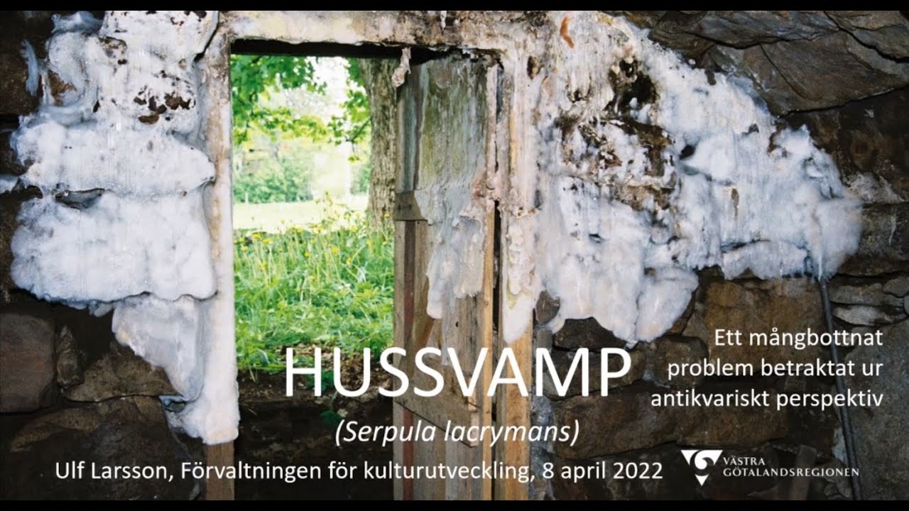 Föreläsning Hussvamp Ulf Larsson 20220408 Slojdochbyggnadsvard