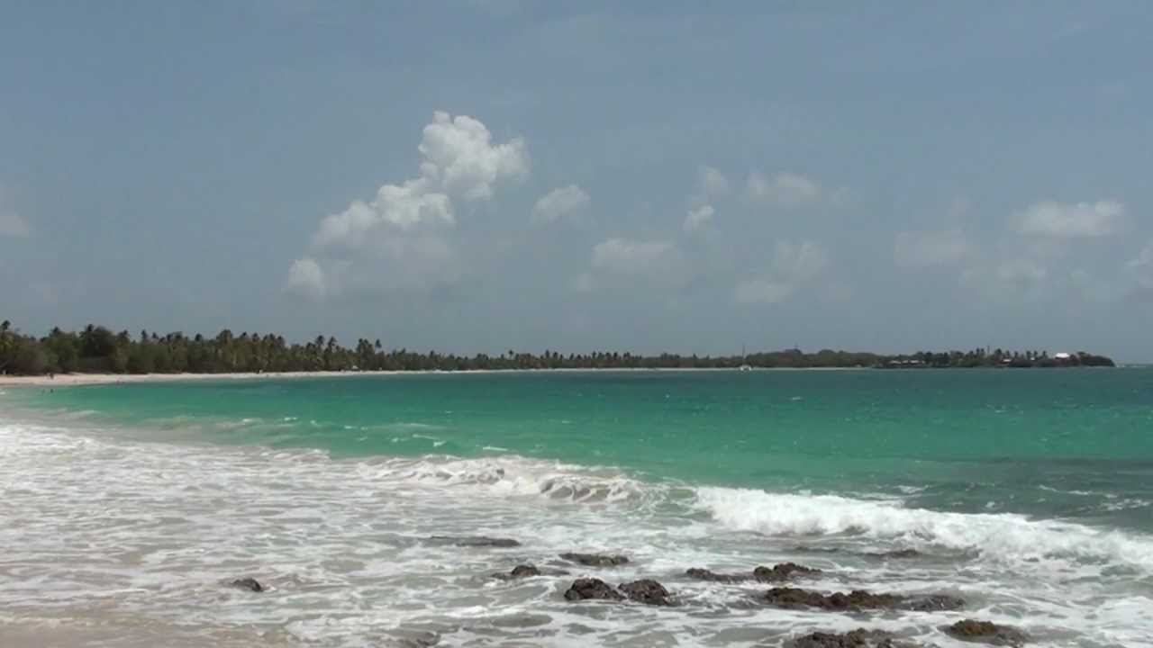 Martinique : Petite Anse et Grande Anse des Salines
