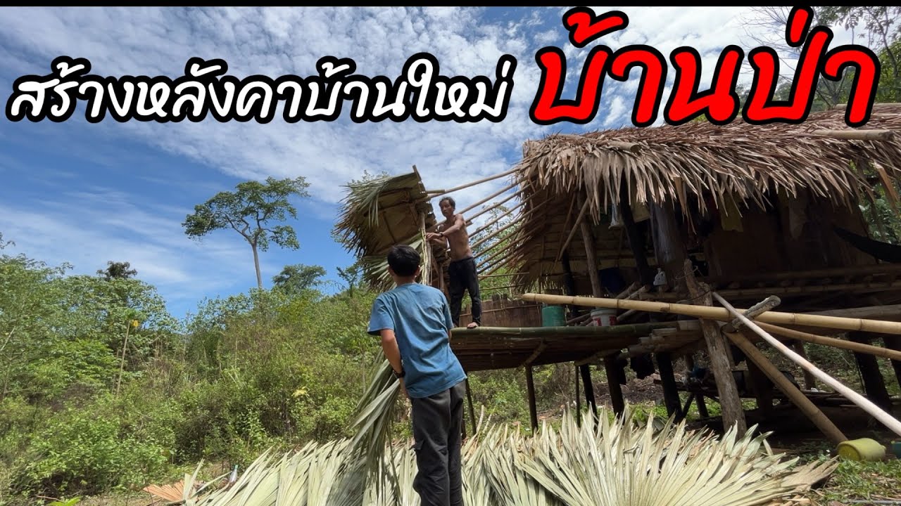 สร้างหลังคาบ้านใหม่ให้พรานใหญ่ #อาณาจักรคนป่า