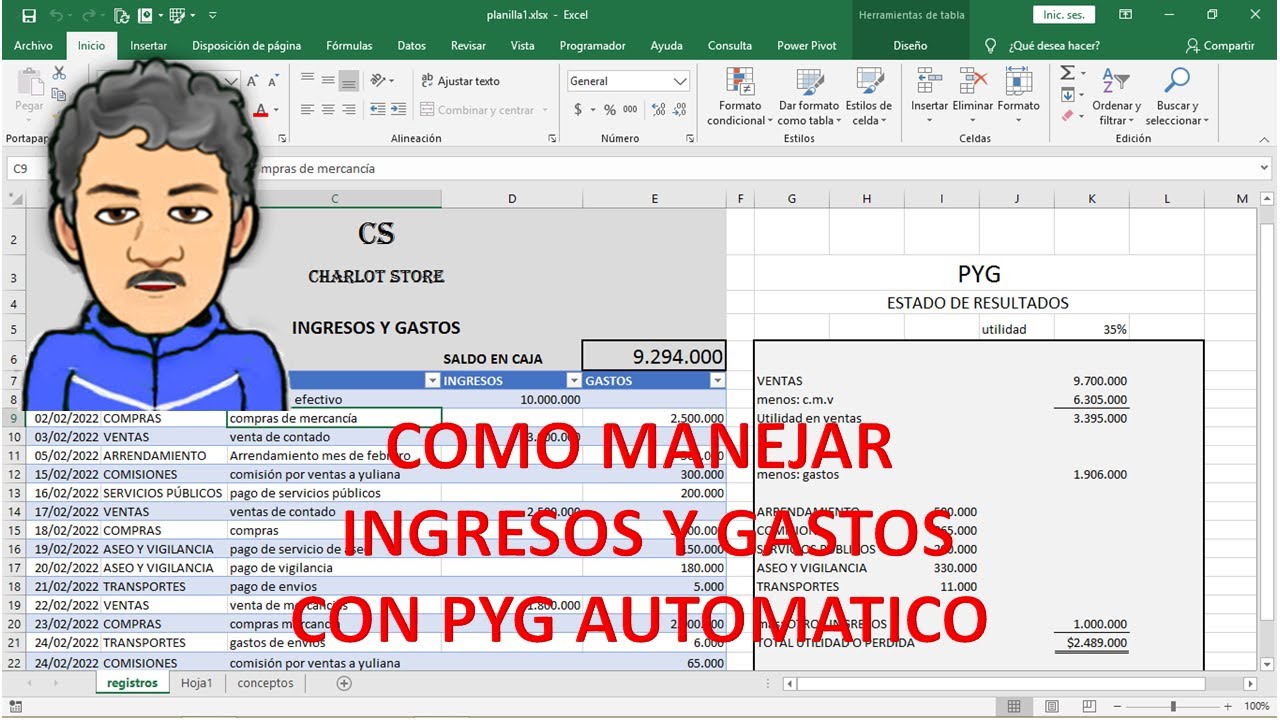 Como manejar ingresos y gastos en Excel. PYG automático en Excel