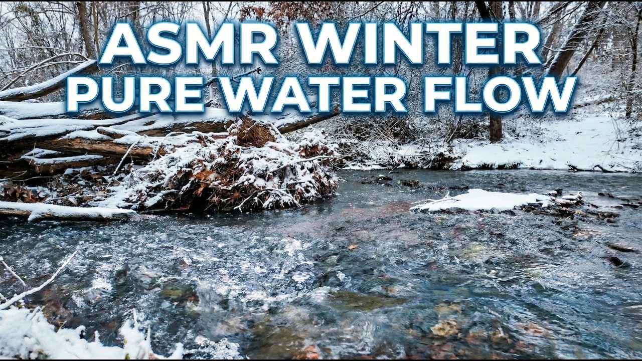 ASMR Winter Brook Sounds | Pure Water Flow in a Snowy Forest for Insomnia & Stress Relief (4K)